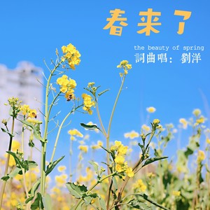 春来了