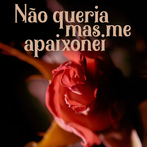 Escrito Nas Estrelas
