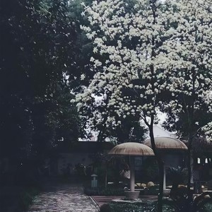 诸暨 (Single Version)