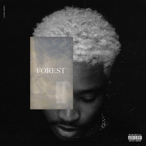 FOREST COLLECTION (Explicit)
