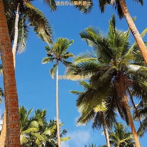 适合办公事务绝妙的音乐