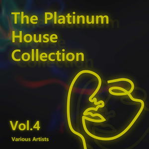 Various Artists - The Platinum House Collection Vol.4