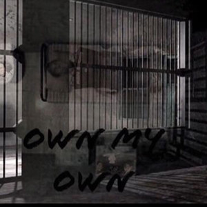 Own My Own (Explicit)