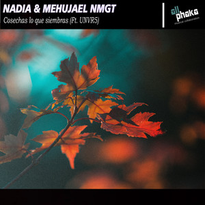 Cosechas lo que siembras (Extended Version)