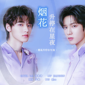 烟花升停在星夜