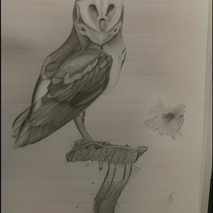 Windbreaker (feat. Kaay Fredo) (Explicit)