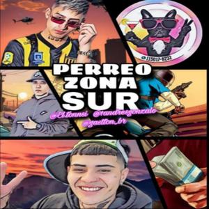 PERREO ZONA SUR (feat. TONSI, EL BRG & GASTON BR)