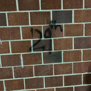 Chase Down (feat. Bharlie) (Explicit)