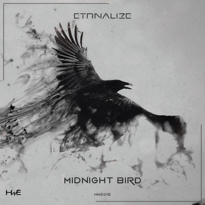 Midnight bird