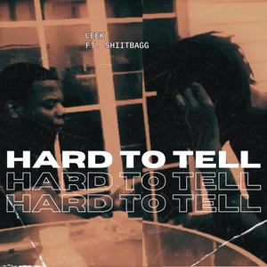 Hard To Tell (feat. Shiitbagg) [Explicit]