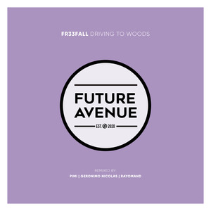 Driving Into the Woods (Geronimo Nicolas Remix)