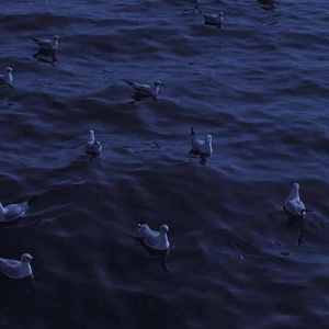 JQKA (prod by FRESH-ye)