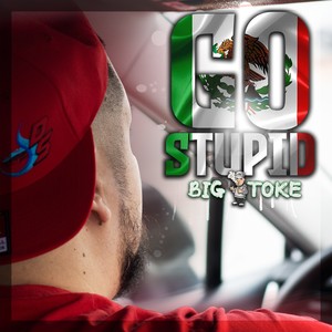 Go Stupid (Explicit)