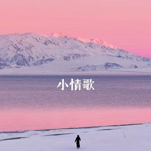 罗明聪 - 小情歌（这是一首简单的小情歌）