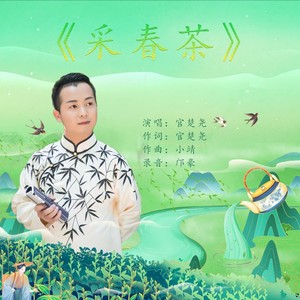 采春茶