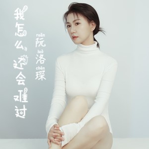 我怎么还会难过 伴奏 (伴奏)