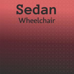 Sedan Wheelchair