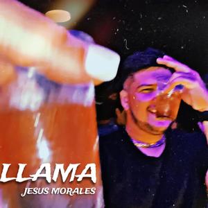 LLAMA (Explicit)