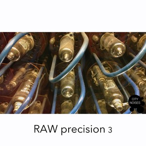 Raw Precision 3