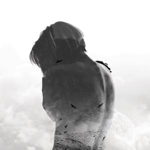Lepidoptera (Explicit)