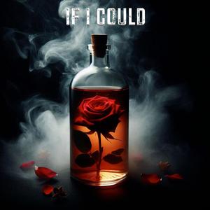 IF I COULD (feat. Banzetti & Opal Chaplin) [Explicit]