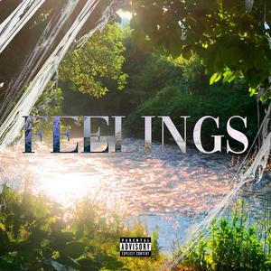 feelings (feat. DINIZZ) [Explicit]