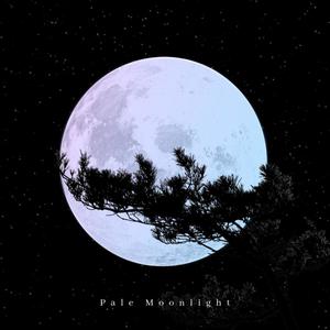 Pale Moonlight (Explicit)