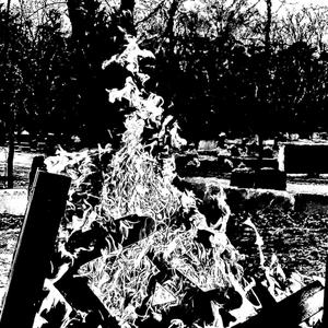Burn it All Down (feat. Solvent C) (Explicit)