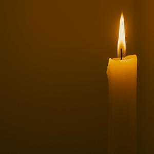 Where Has Love Brought Us Now