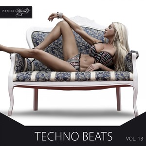Techno Beats, Vol.13