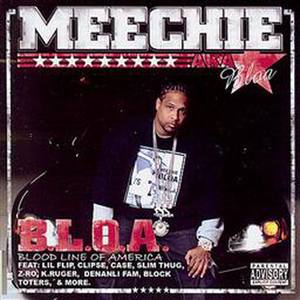 B.L.O.A.- Blood Line Of America