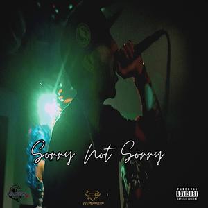 Sorry Not Sorry (Explicit)