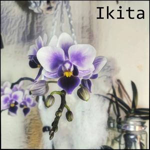 Ikita