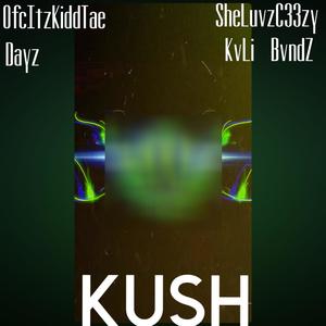 KUSH (feat. SheLuvzC33zy, Dayz & KvLi BvndZ) [Explicit]