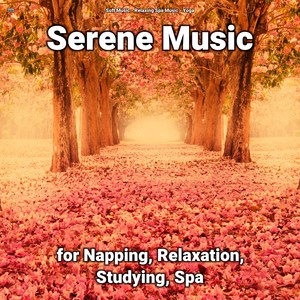 !!!! Serene Music for Napping, Relaxation, Studying, Spa