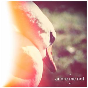 Adore Me Not