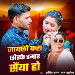 Jaaychho Kaha Chhorke Hamar Saiya Ho