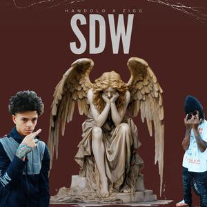 SDW (feat. Zigg) (Explicit)