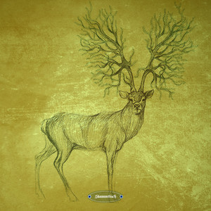 Symmetrical Framing (Original Mix)