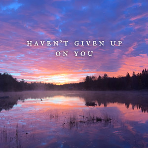 Haven't Given up on You