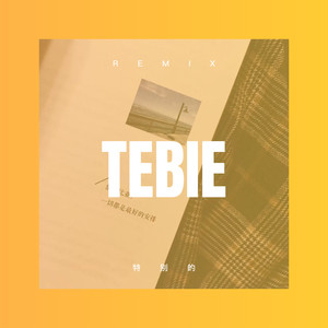 祝兴学 - 天之大 (DJ弹鼓版)