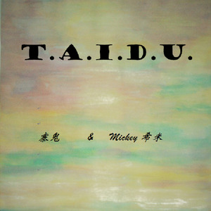 T.A.I.D.U.