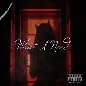 What I Need (Explicit)