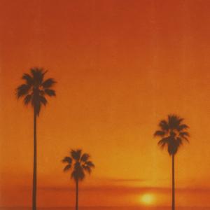 LATAM Nights 1.0 (Explicit)