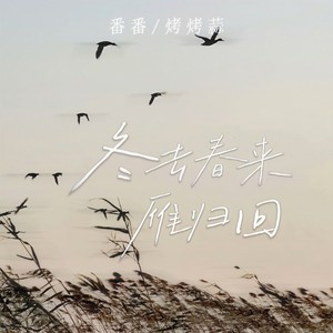 冬去春来雁归回