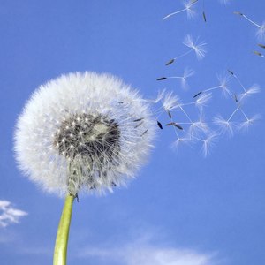 不用承诺不要誓言我要这样过