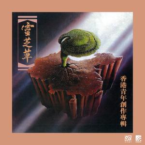 青春