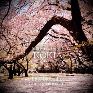KOKIA - 季節外れのさくら (迟开的樱花)