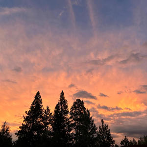 TOO DEEP TO SEW (Explicit)