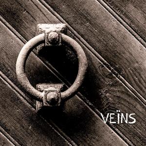 Veïns